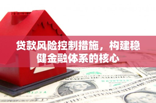 西市贷款风险控制措施，构建稳健金融体系的核心