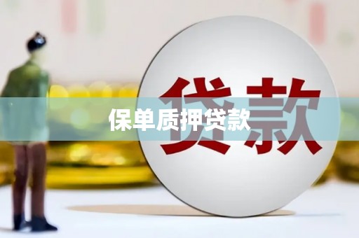西市保单质押贷款