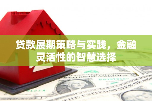西市贷款展期策略与实践，金融灵活性的智慧选择