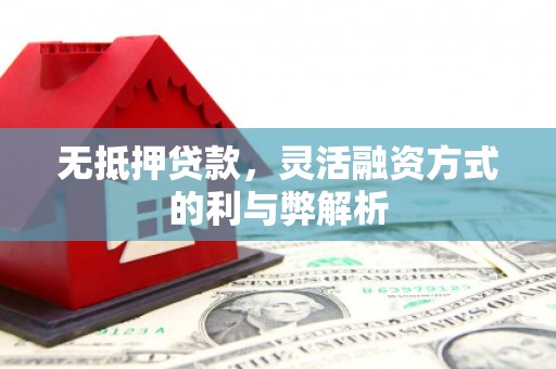 西市无抵押贷款，灵活融资方式的利与弊解析