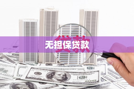 西市无担保贷款