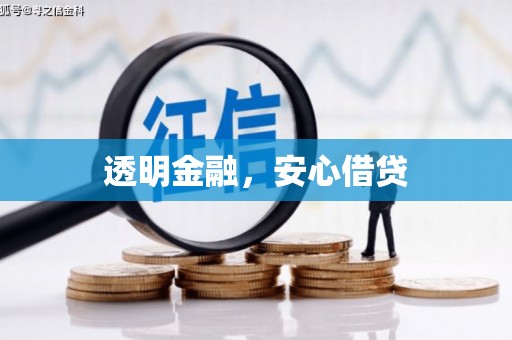 西市透明金融，安心借贷