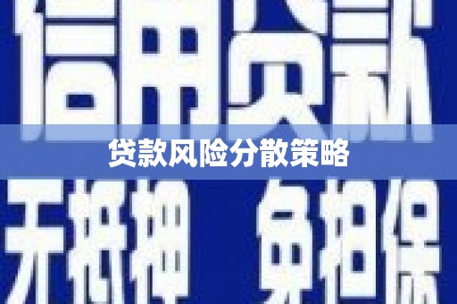 西市贷款风险分散策略