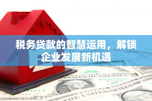 西市税务贷款的智慧运用，解锁企业发展新机遇