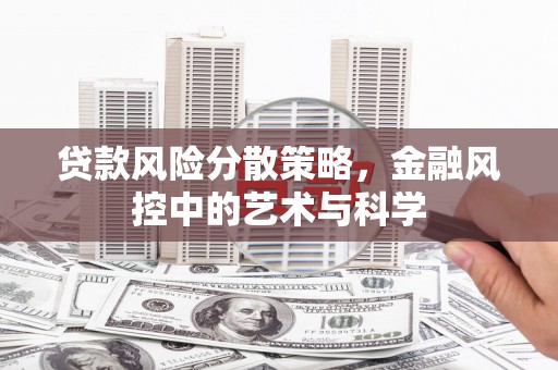 西市贷款风险分散策略，金融风控中的艺术与科学