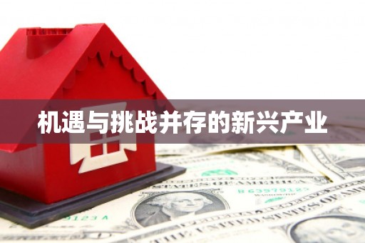 西市机遇与挑战并存的新兴产业