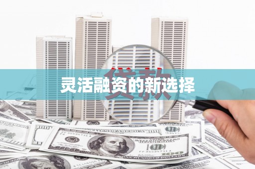西市灵活融资的新选择