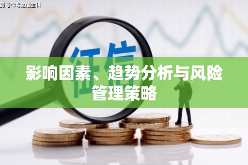 西市影响因素、趋势分析与风险管理策略