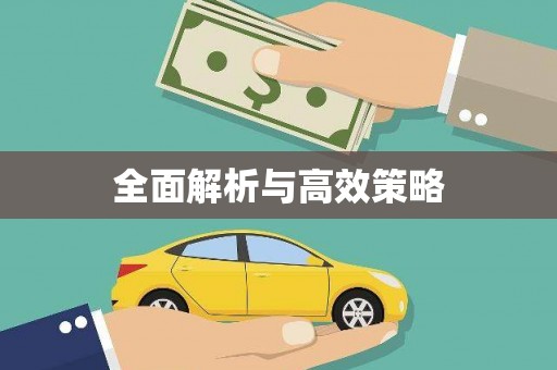 西市全面解析与高效策略