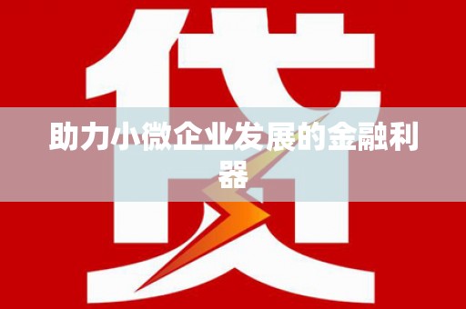 西市助力小微企业发展的金融利器