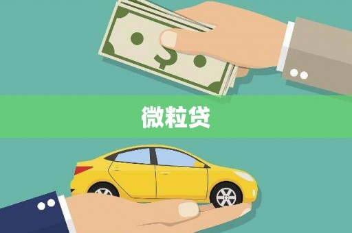 西市微粒贷