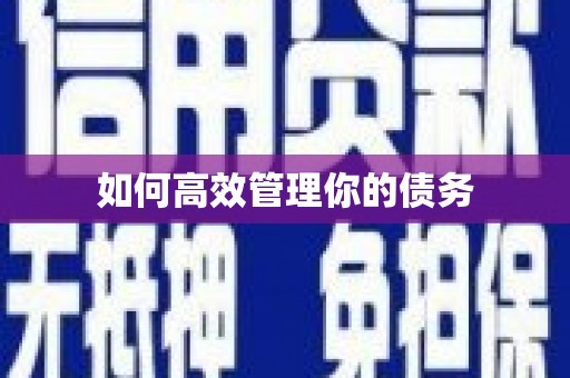 西市如何高效管理你的债务