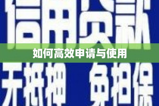 西市如何高效申请与使用