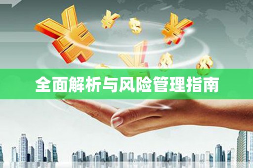 西市全面解析与风险管理指南