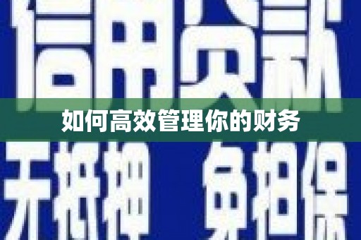 西市如何高效管理你的财务