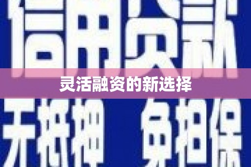 西市灵活融资的新选择