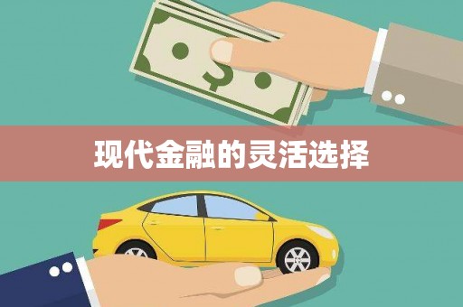 西市现代金融的灵活选择
