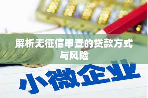 西市解析无征信审查的贷款方式与风险