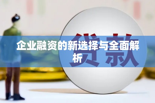 西市企业融资的新选择与全面解析