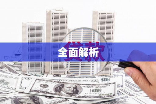 西市全面解析