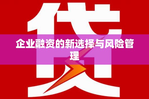 西市企业融资的新选择与风险管理