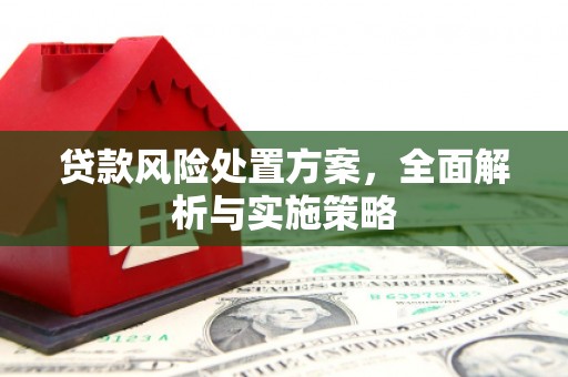 西市贷款风险处置方案，全面解析与实施策略