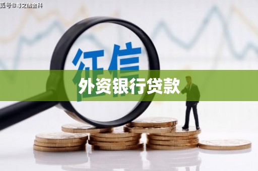 西市外资银行贷款