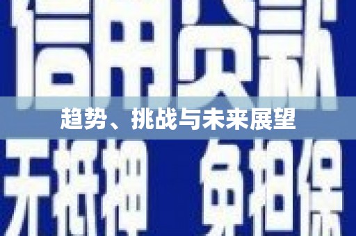 西市趋势、挑战与未来展望