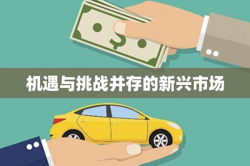 西市机遇与挑战并存的新兴市场