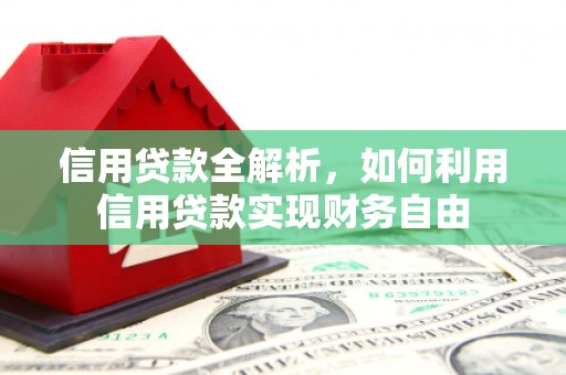 西市信用贷款全解析，如何利用信用贷款实现财务自由