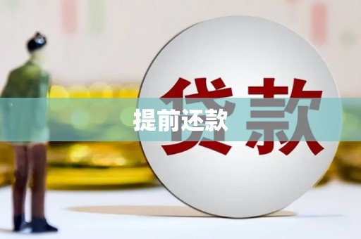 西市提前还款
