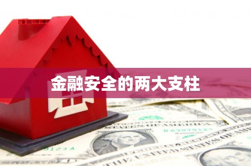 西市金融安全的两大支柱