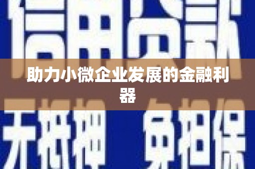 西市助力小微企业发展的金融利器