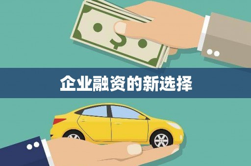 西市企业融资的新选择