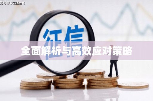 西市全面解析与高效应对策略