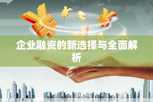 西市企业融资的新选择与全面解析