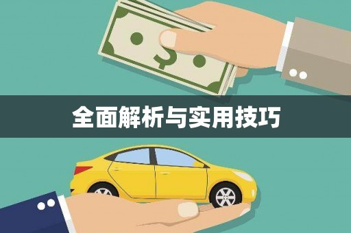 西市全面解析与实用技巧