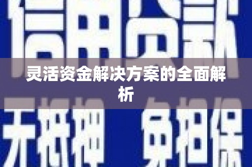 西市灵活资金解决方案的全面解析
