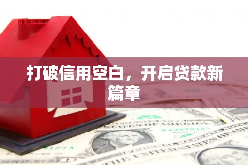 西市打破信用空白，开启贷款新篇章