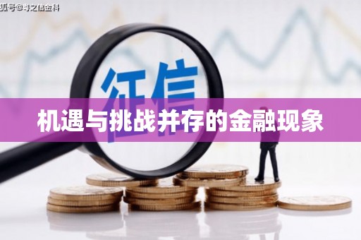 西市机遇与挑战并存的金融现象