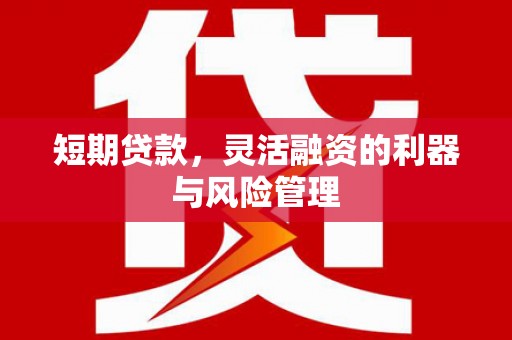 西市短期贷款，灵活融资的利器与风险管理