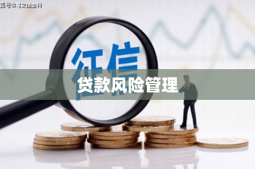 西市贷款风险管理