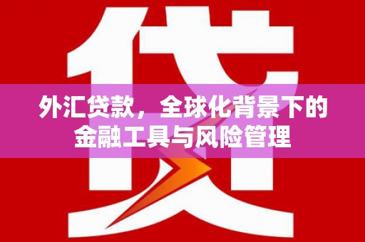西市外汇贷款，全球化背景下的金融工具与风险管理