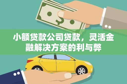 西市小额贷款公司贷款，灵活金融解决方案的利与弊