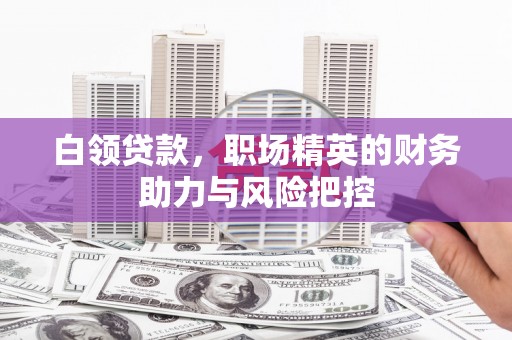 西市白领贷款，职场精英的财务助力与风险把控